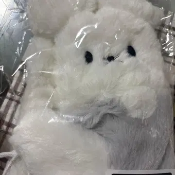 포켓몬 센터 와카 쥐풍 장갑