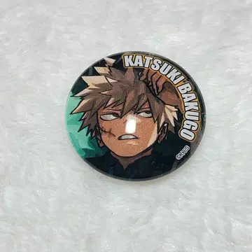 [나의 히어로 아카데미아] 바쿠고 카츠키