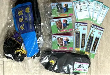 다이토 호스 히어로즈 복권