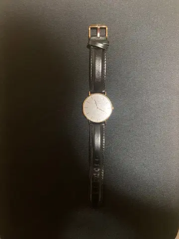 다니엘 웰링턴 시계