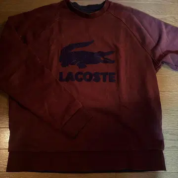 LACOSTE 버건디 트레이닝복 34
