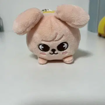 straykids 승민 PuppyM 미니 백참