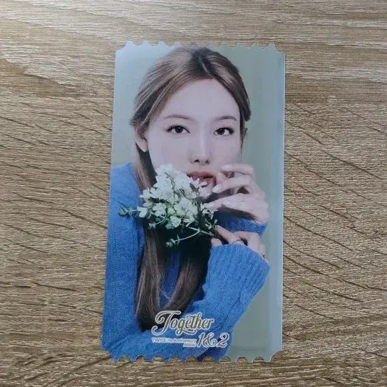 TWICE | 트와이스 Twice Sana birthday cafe photocard printed photo