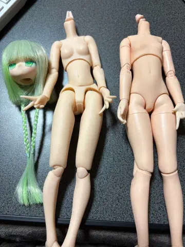 퓨어니모 커스텀 헤드 바디 2개