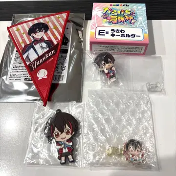 카라피치 유안군 5점 세트 에니마이 복권 튜브 키링 가랜드 외