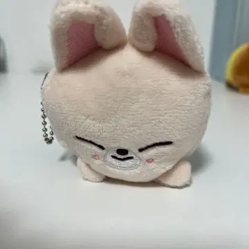 skzoo PuppyM 아이엔 미니 백참 키링