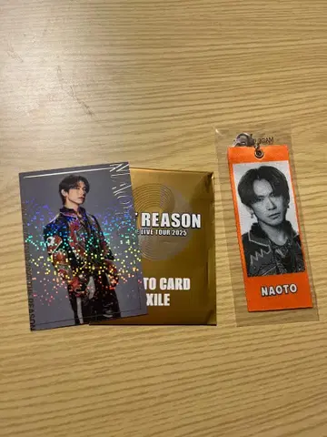 NAOTO 포토 카드 메지루시 참 EXILE THE REASON