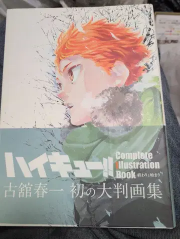 하이큐 대형 화집