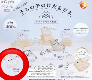 [ C-pla 페테모 한정판 ] 우리 아이 털뭉치 치와와 (화이트) 1