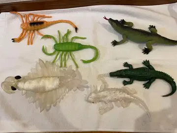 리얼 동물 피규어 세트