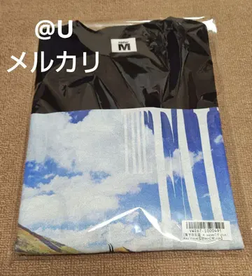 낙하의 왕국 THE FALL 티셔츠 플라이어 3개 포함 weber 새상품