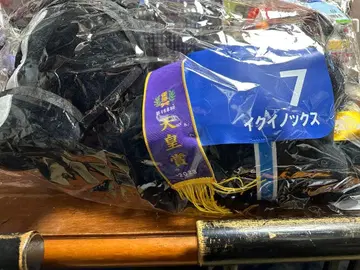 호스 히어로즈 A상 이퀴녹스