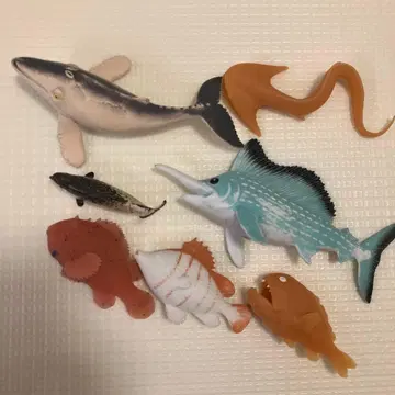 씨 몬스터 & 바다 생물