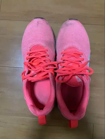 고등학교 여자 스니커즈