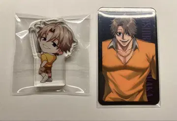 휴먼버그 대학 / 모리 와카, 소리마치 / 아쿠브로, 트레이딩 카드