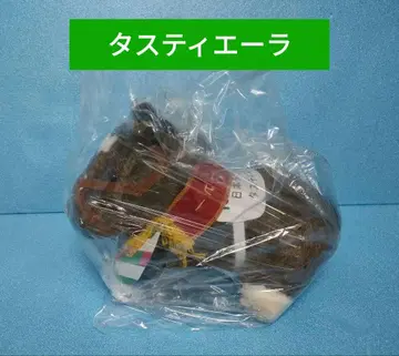 타스티에라 경마 봉제 인형