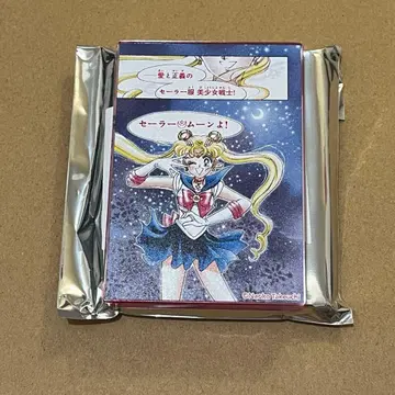 세일러문 카페 아크릴 블록 A 츠키노 우사기