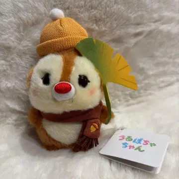 디즈니 스토어 우루포차 가을 봉제 인형 단풍칩
