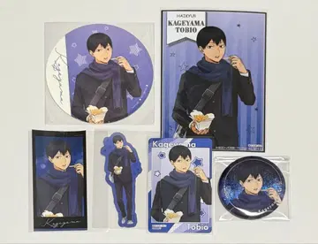 하이큐 코스모 월드 카게야마