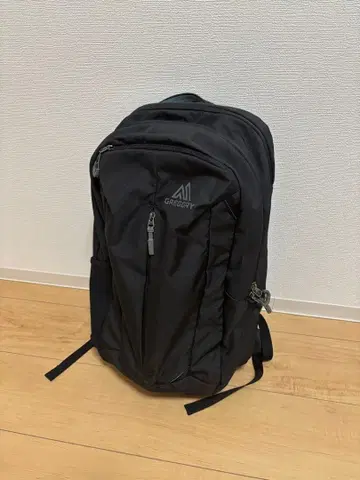 GREGORY 레토나 25