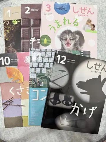 자연 그림책 시리즈 1-3, 10-12권 세트