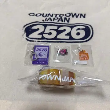 COUNTDOWN JAPAN 2526 키링 세트