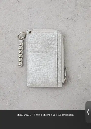 ear PAPILLONEER 이아파피요네 지갑