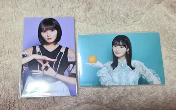 엔도 사쿠라 미니 브로마이드 모음