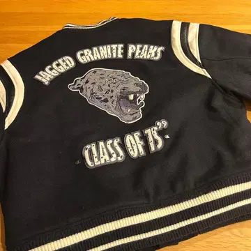 champion x ZARA 퀼팅 봄버 자켓 바시티 자켓 M