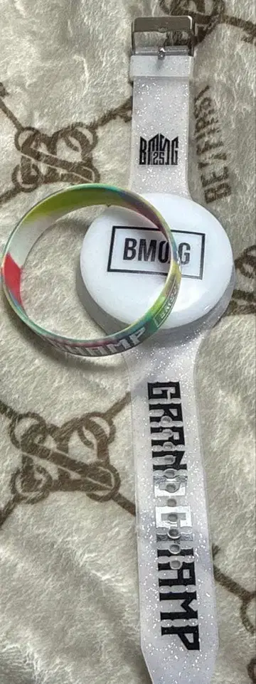 BMSG 페스티벌'25 라이트 밴드 & 러버 밴드