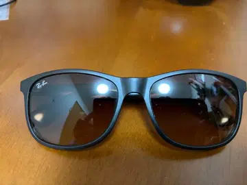 Ray-Ban RB4202F ANDY 케이스 포함