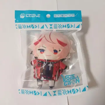 니지파펫 세라프 대즐가든