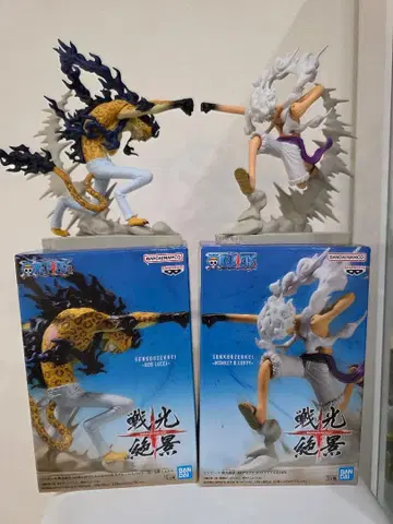 전광절경 니카 루치