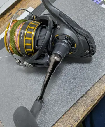 16BG PE 라인 포함 4000H