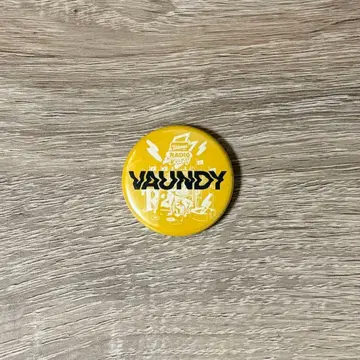 레이디클 2025 캔뱃지 Vaundy