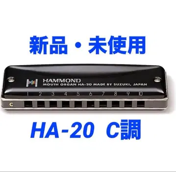 [새상품] 스즈키 하몬드 10홀 하모니카 C조 SUZUKI HA-20