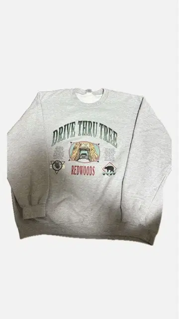 USA 구제 의류 REDWOODS DRIVE THRU TREE 맨투맨