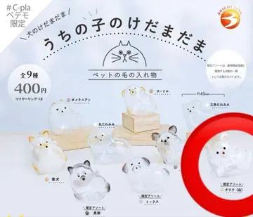 우리 집 털뭉치 C-pla 페테모 한정판 강아지 치와와 (화이트)