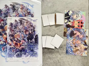 그랑블루 판타지 페스티벌 2025 입장 리플렛 리얼 굿즈 덤 포함