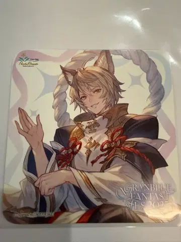 그래페스 2025 코스터 바사라