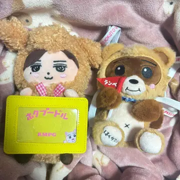 호쿠 푸들 | 호쿠 너구리