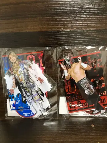 타나하시 히로시_엘 데스페라도_신일본 프로레슬링_아크릴 스탠드