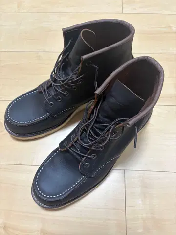 레드윙 8849 9.0D 27.0cm 차심 모델