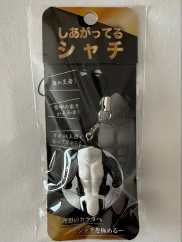 완성된 범고래 키링 스트랩