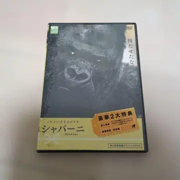 샤바니 DVD 다큐멘터리