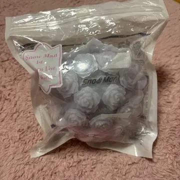 SnowMan 응원봉 스타디움