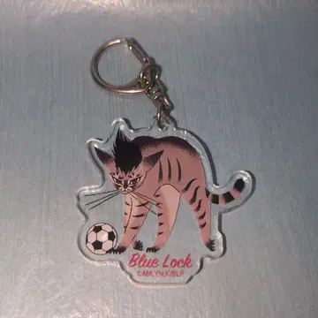 블루 록 RE:SHAZAM 블랙 고양이 디자인 아크릴 참 마로 쿄에이