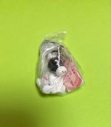 아이돌 호스 미니 컬렉션 2024 아르헨티나 공화국배 하야야코