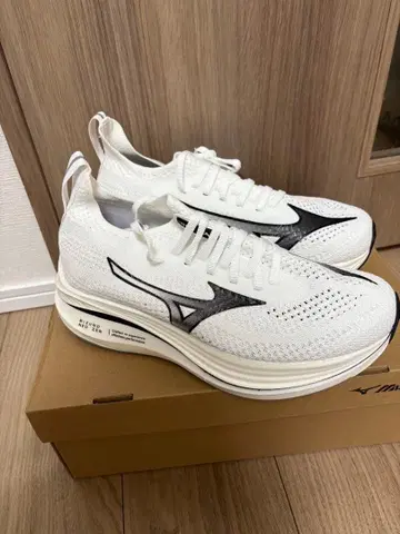 미즈노 네오 젠 Mizuno NEO ZEN 25.5cm