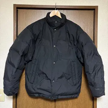 THE NORTH FACE 얼터네이션 시에라 자켓